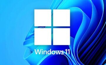 windows 11