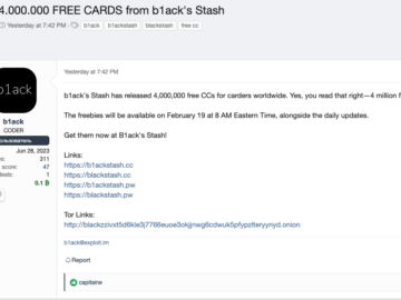 B1ack’s Stash released 1 Million credit cards