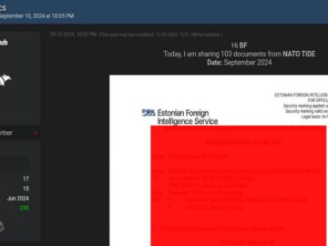 Teen Hacker “Natohub” Caught for NATO, UN, and US Army Breaches