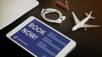 Advanced Cyber Attack Exploits Booking Websites to Deploy LummaStealer Malware