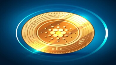 Cybersecurity in Crypto: Best Practices to Prevent Theft and Fraud