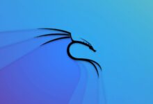 Kali Linux