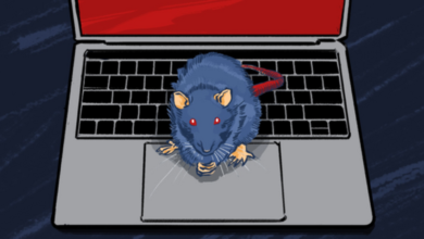 MirrorFace Hackers Modify AsyncRAT Execution for Stealthy Deployment in Windows Sandbox
