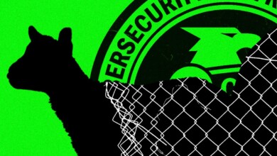 ‘People Are Scared’: Inside CISA as It Reels From Trump’s Purge