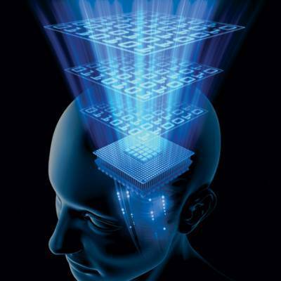 A Good Way to Study the Effect of Radio Waves on Humans