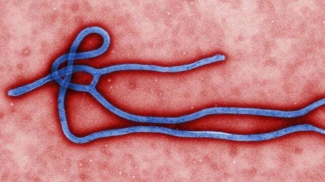 Chinese Scientists Find a Way to Make H5N1 Airborne