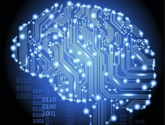 Economics as the Solution to Cognitive Dissonance