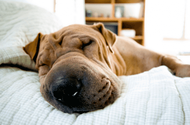 Get Tired | Daniel Miessler