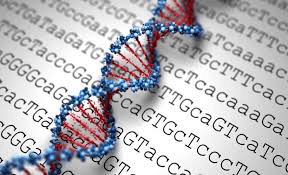 Judging Risk Based On Genetic Testing