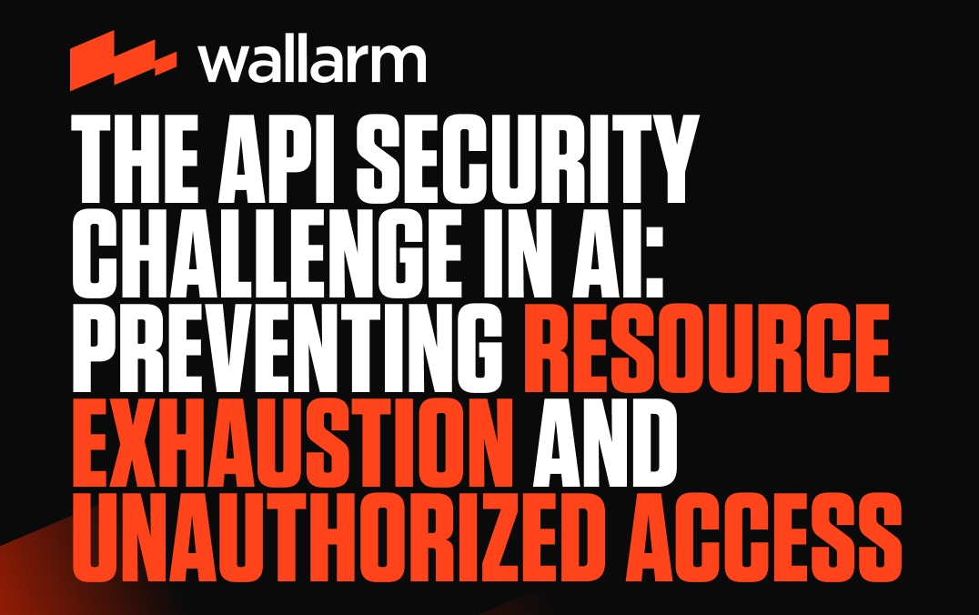 Preventing Resource Exhaustion and Unauthorized Access