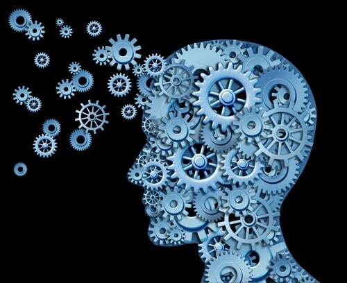 Programming as a Life Skill