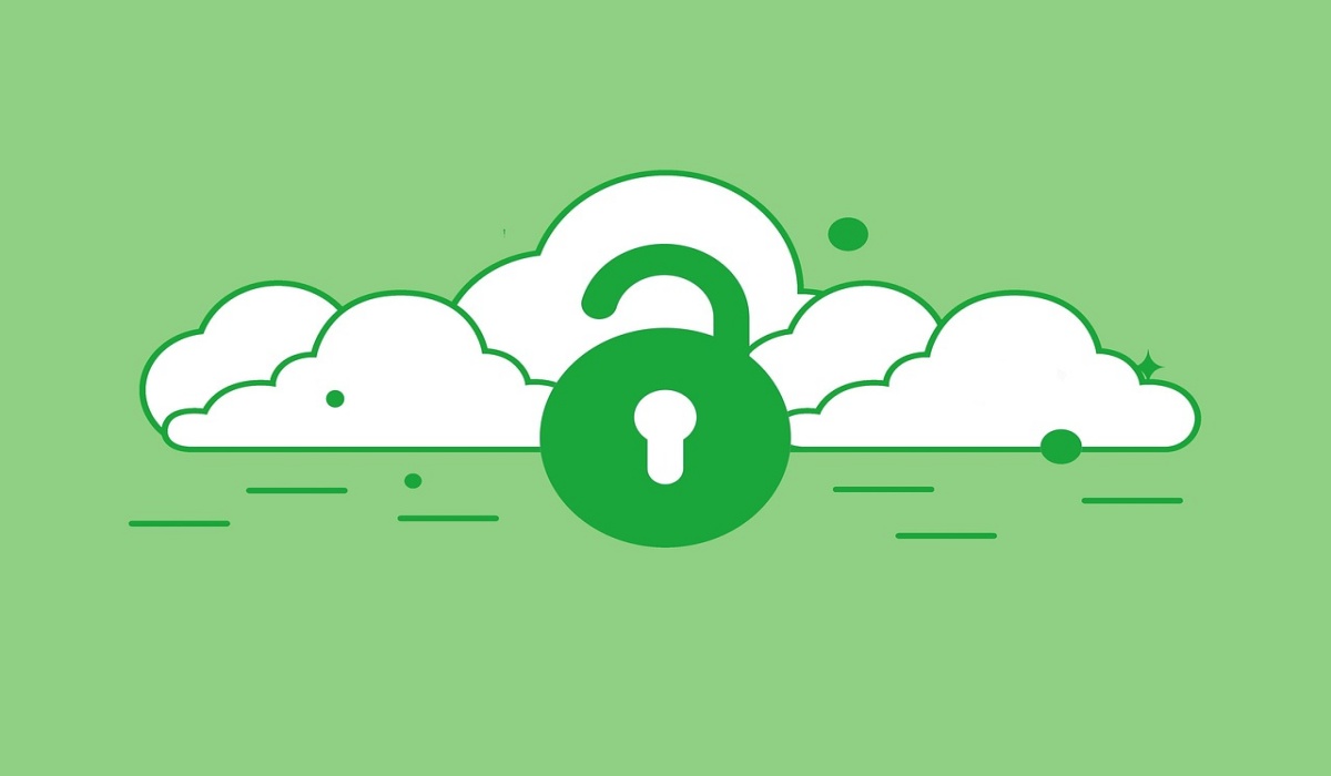 SaaS Security Essentials: Reducing Risks in Cloud Applications