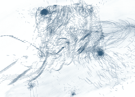 Study: Alternative Data Streams | Daniel Miessler