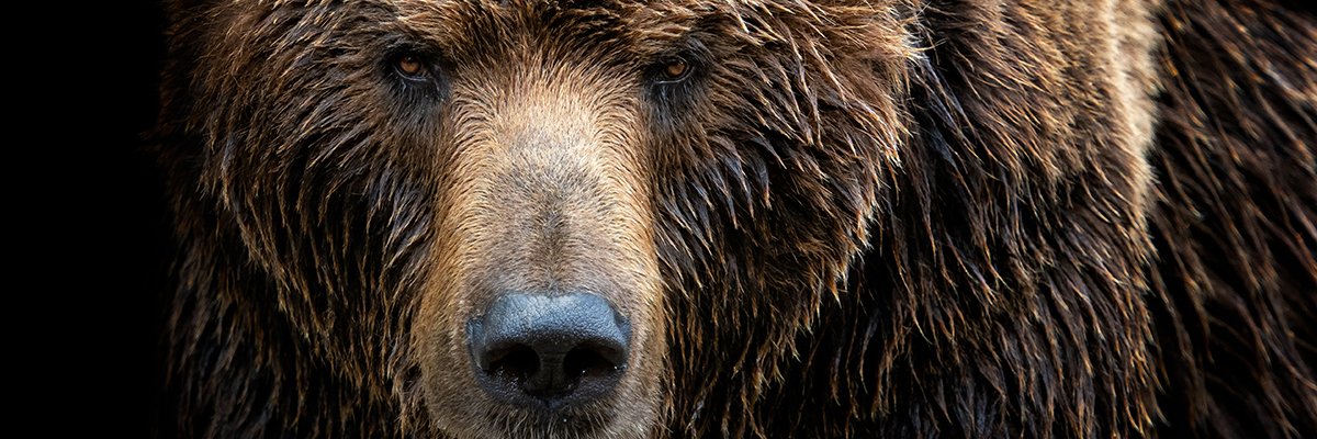 NCSC: Russia’s Fancy Bear targeting logistics, tech organisations