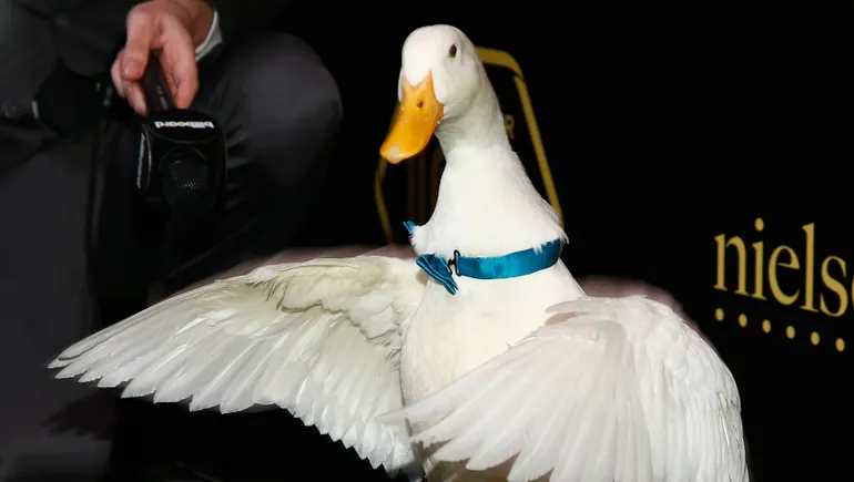 Aflac discloses cyber intrusion linked to wider crime spree targeting insurance industry