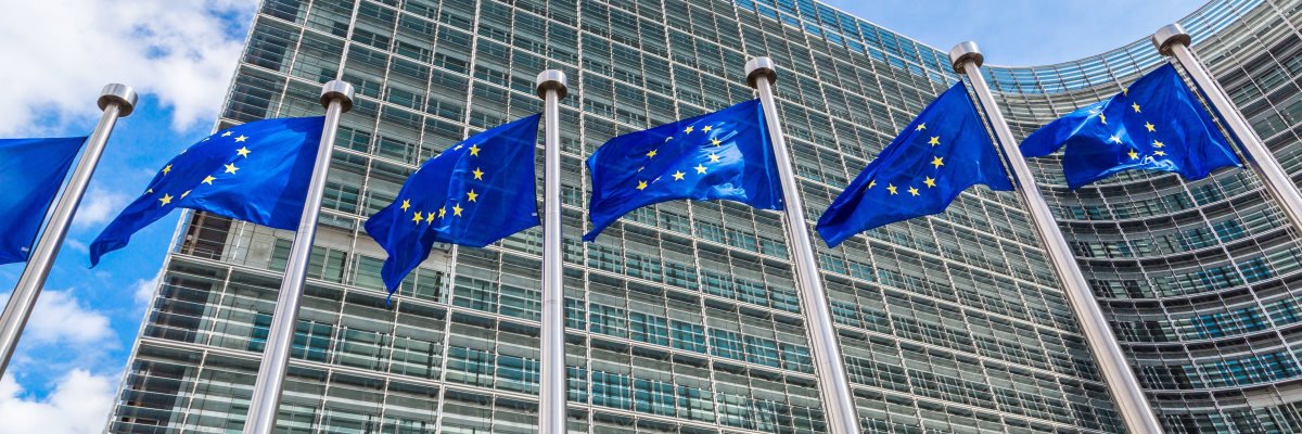 European digital market figurehead pleads to Westminster