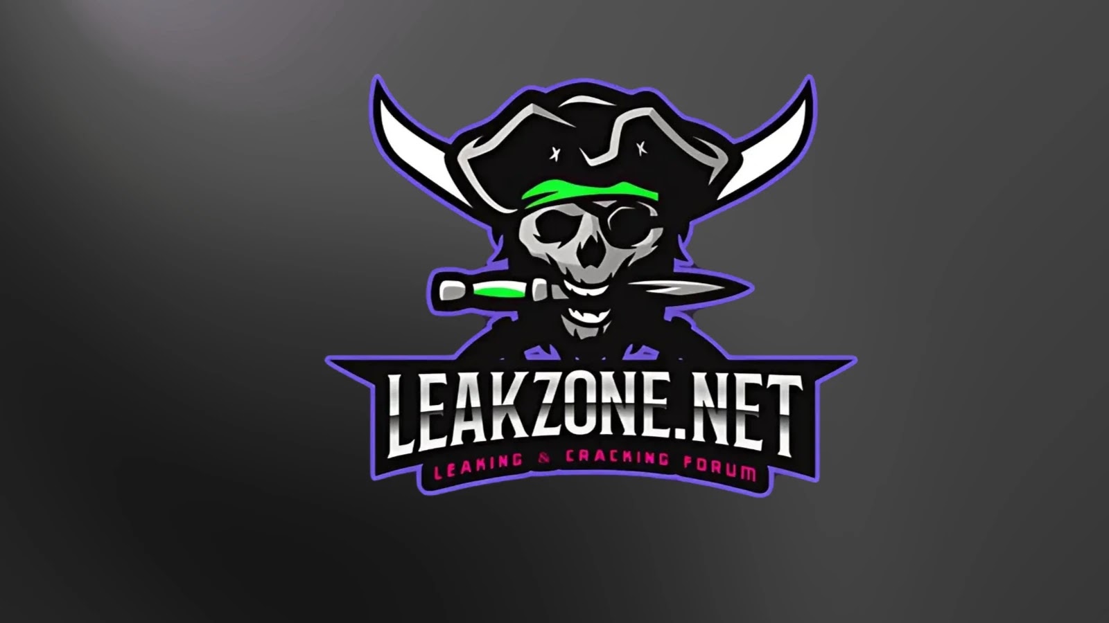 Leak Zone Dark Web Forum Database Exposes 22 Million Users' IP Addresses and Locations
