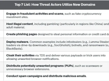 Why DNS threats should be on every CISO's radar in 2025