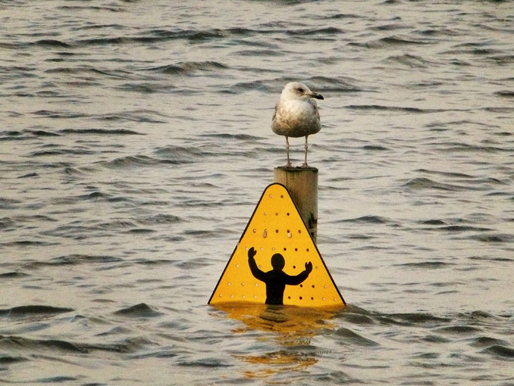 There Are Plenty of Phish in The Sea: Here’s How to Avoid Them