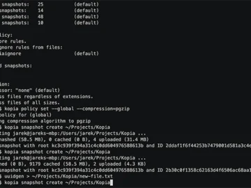 Kopia: Open-source encrypted backup tool for Windows, macOS, Linux