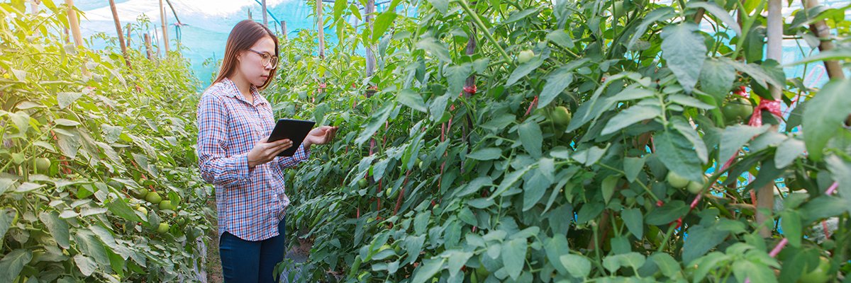 Digital Catapult sets sights on boosting AI take-up in agrifood sector Digital Catapult sets sights on boosting AI take-up in agrifood sector