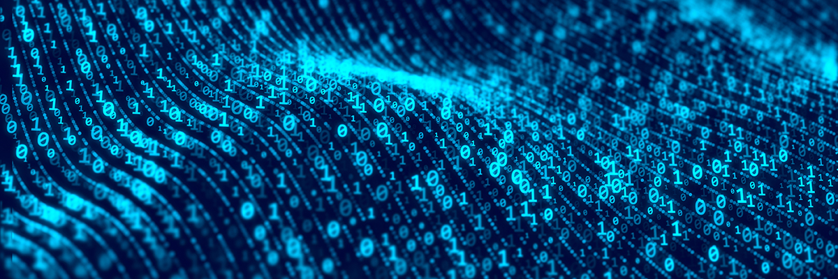 Digital ID risks turning UK into ‘Checkpoint Britain’  