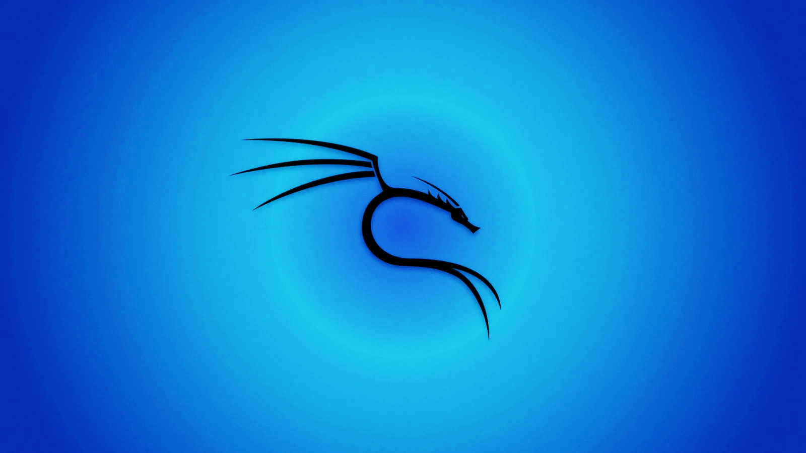 Kali Linux 2025.3 released with 10 new tools, wifi enhancements Kali Linux 2025.3 released with 10 new tools, wifi enhancements