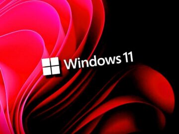 Windows 11