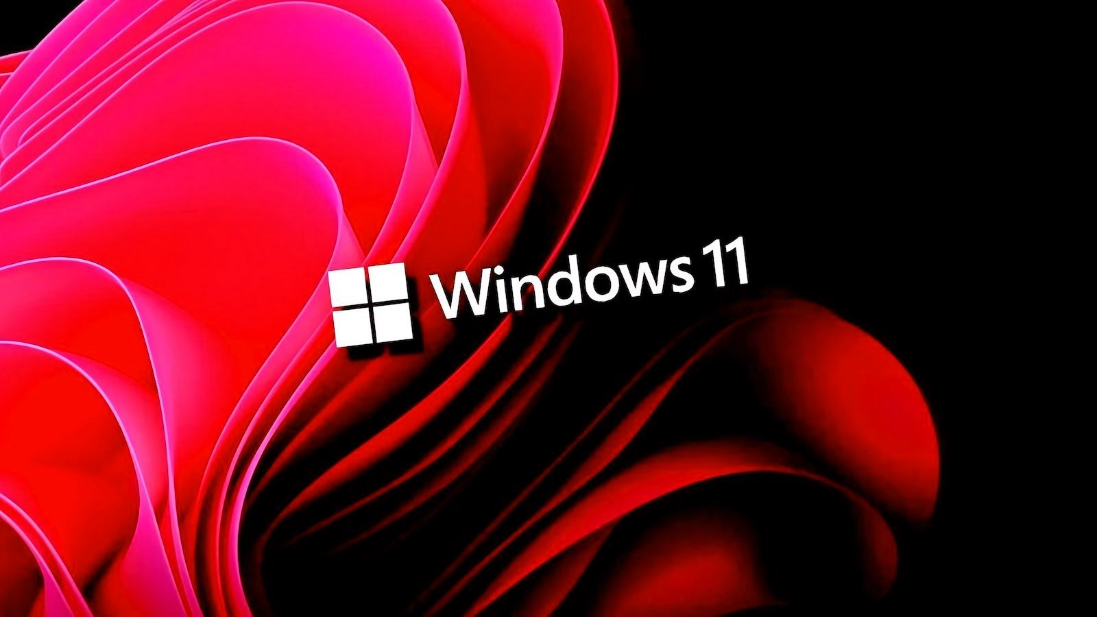 Microsoft says recent updates cause DRM video playback issues Windows 11