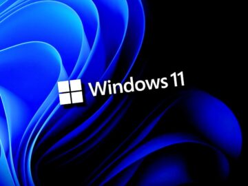Windows 11