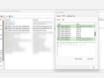 Microsoft Intune MDM and Entra ID Leveraged to Elevate your Trust in Device Identity