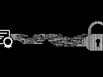 Rhysida Ransomware Campaign