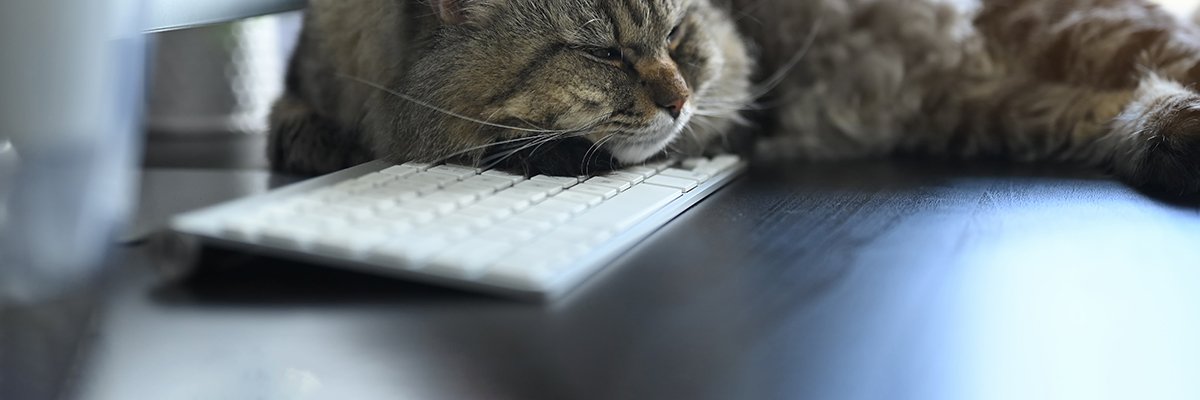 Pet insurers fuel AI take up in veterinary sector Pet insurers fuel AI take up in veterinary sector
